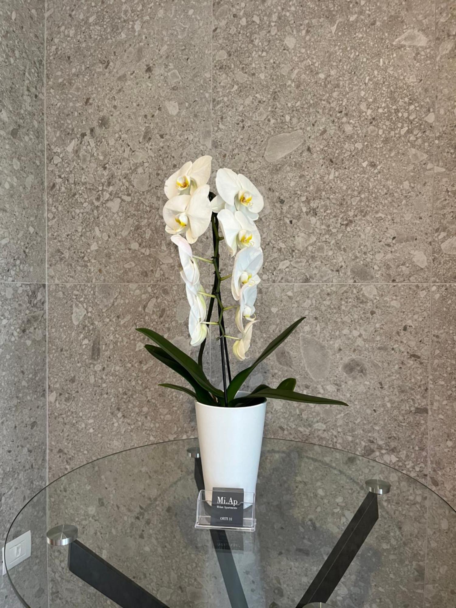 Miap Orti 31 Appartement